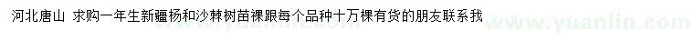 求购一年生新疆杨、沙棘树苗