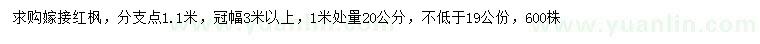 求购1米处量20公分嫁接红枫