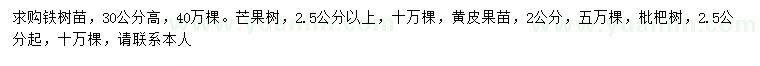 求购铁树苗、芒果树、黄皮果苗等