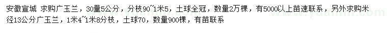 求购30量5公分、米径15公分广玉兰