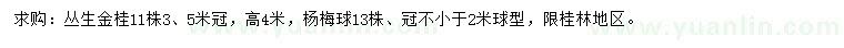 求购丛生金桂、杨梅球