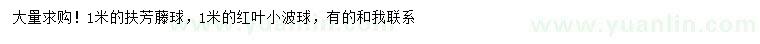 求购1米扶芳藤球、红叶小波球