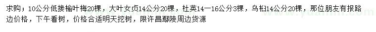 求购低接榆叶梅、大叶女贞、杜英等