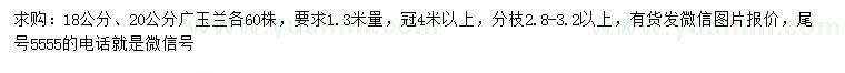 求购1.3米量18、20公分广玉兰