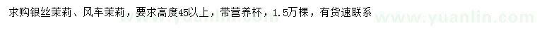 求购高45公分以上银丝茉莉、风车茉莉