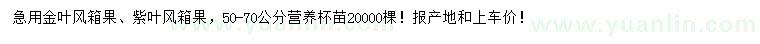 求购50-70公分金叶风箱果、紫叶风箱果