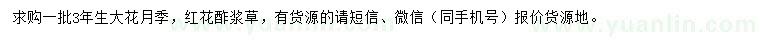 求购3年生大花月季、红花酢浆草