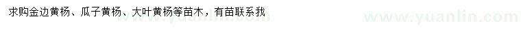 求购金边黄杨、瓜子黄杨、大叶黄杨