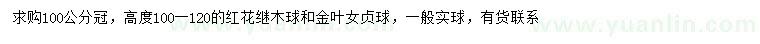 求购冠100公分红花继木球、金叶女贞球