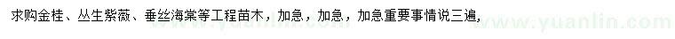 求购金桂、丛生紫薇、垂丝海棠