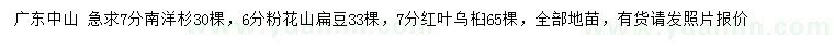 求购南洋杉、粉花山扁豆、红叶乌桕