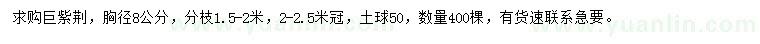 求购胸径8公分巨紫荆