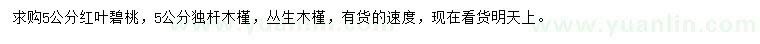 求购红叶碧桃、独杆木槿、丛生木槿