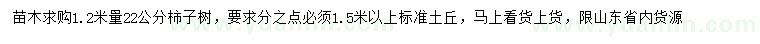 求购1.2米量22公分柿子树