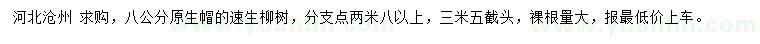 求购8公分原生帽速生柳树