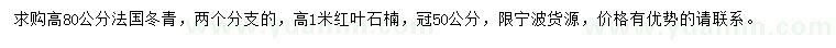 求购高80公分法国冬青