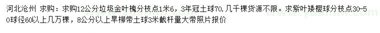 求购垃圾金叶槐、紫叶矮樱球、旱柳