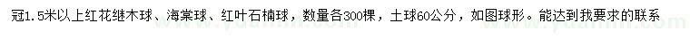 求购红花继木球、海棠球、红叶石楠球