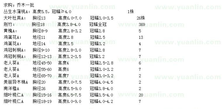 求购丛生水蒲桃、大叶杜英、刚竹等