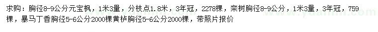 求购元宝枫、栾树、暴马丁香等