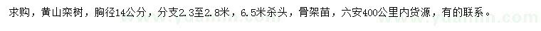 求购胸径14公分黄山栾树