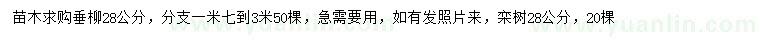 求购28公分垂柳、28公分栾树