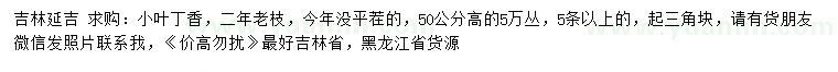 求购高50公分小叶丁香