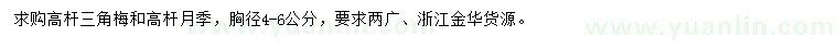 求购胸径4-6公分高杆三角梅、高杆月季