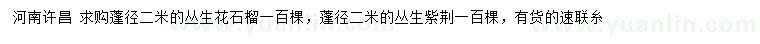 求购蓬径2米丛生花石榴、丛生紫荆