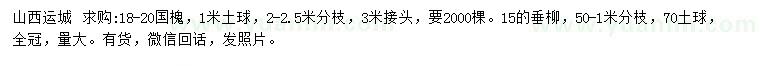 求购18-20公分国槐、15公分垂柳