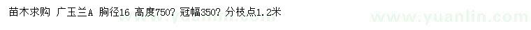 求购胸径16公分广玉兰