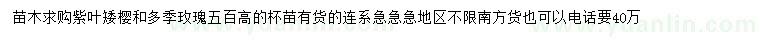 求购紫叶矮樱、多季玫瑰