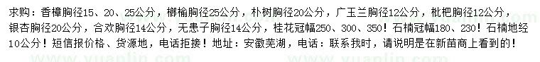 求购香樟、榔榆、朴树等