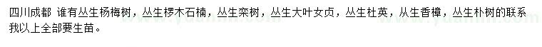 求购丛生杨梅树、丛生椤木石楠、丛生栾树等