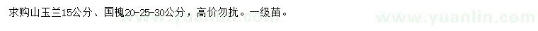 求购15公分山玉兰、20、25、30公分国槐