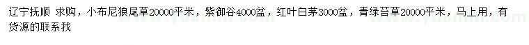 求购小布尼狼尾草、紫御谷、红叶白茅
