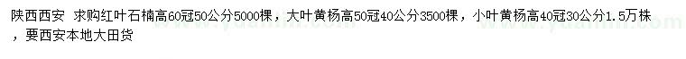 求购红叶石楠、大叶黄杨、小叶黄杨