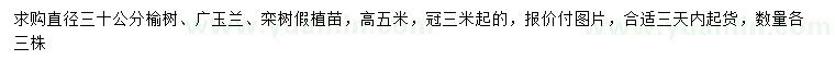 求购榆树、广玉兰、栾树假植苗