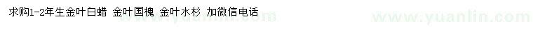 求购金叶白蜡、金叶国槐、金叶水杉