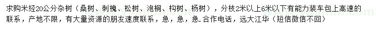 求购桑树、刺槐、松树等