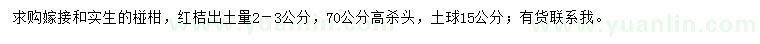 求购出土量2-3公分椪柑、红桔