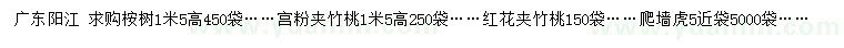 求购桉树、宫粉夹竹桃、红花夹竹桃等