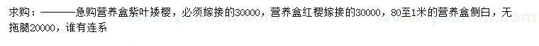 求购紫叶矮樱、侧柏、嫁接红樱