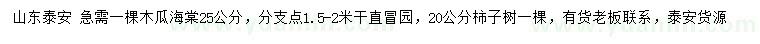 求购25公分木瓜海棠、20公分柿子树