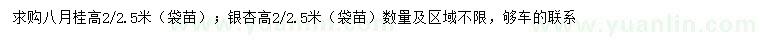 求购高2、2.5米八月桂、银杏（袋苗）