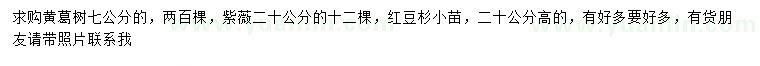 求购黄葛树、紫薇、红豆杉小苗