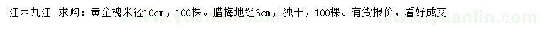 求购米径10公分黄金槐、地径6公分腊梅