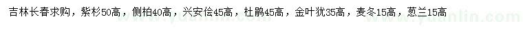 求购紫杉、侧柏、兴安桧等