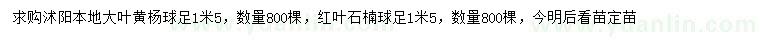 求购足1.5米大叶黄杨球、红叶石楠球