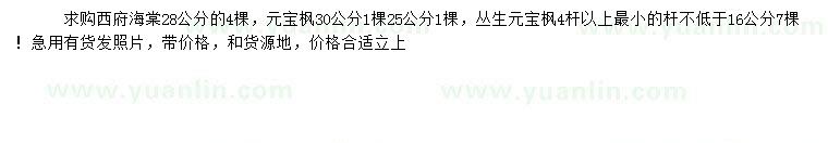 求购西府海棠、元宝枫，丛生元宝枫